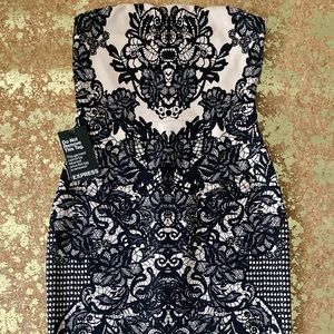Express Lace Design Sleek Dress